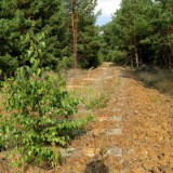 1609F 081 Spree und Havel